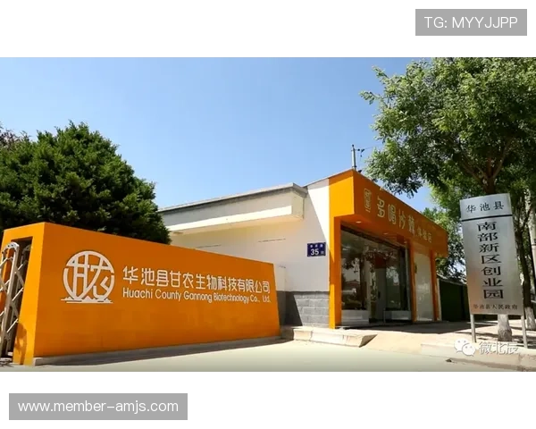 全面解析金沙中国有限公司代码的含义与应用场景，助力投资者精准掌握公司信息