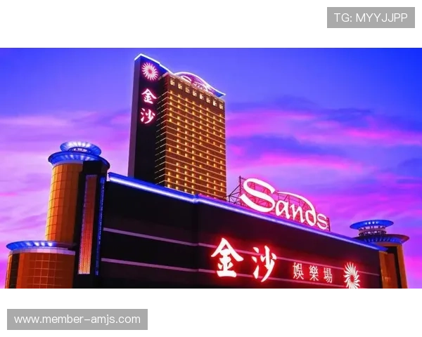 澳门金沙官网网址官方入口地址及安全登录技巧全攻略，保障账户安全