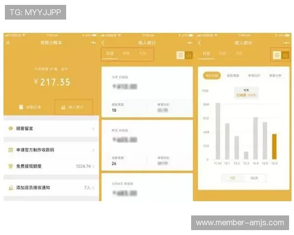 金沙现金视讯平台的支付方式与提现流程详尽指南