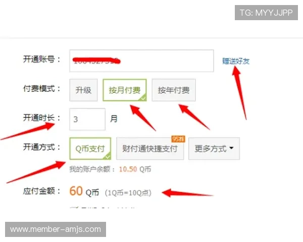 体育现金网会员登录流程详解,帮助用户轻松解决登录难题