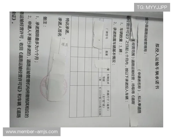 如何在金沙官网顺利注册账号,详细步骤与常见问题解答指南