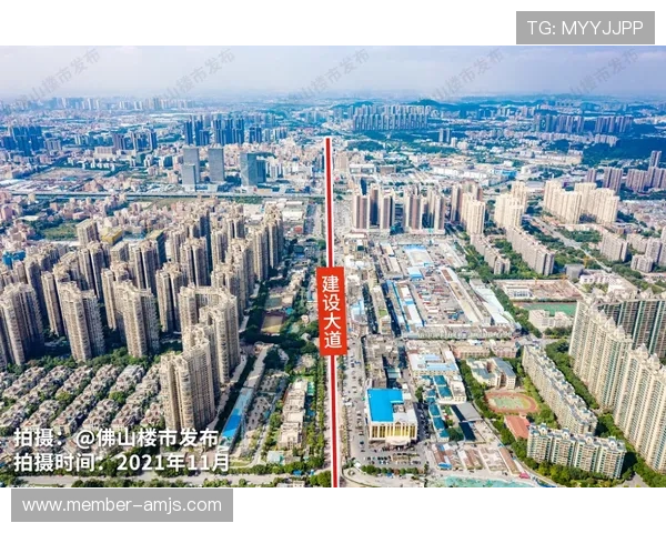 金沙城中心手机app常见问题与解决方案,帮助玩家快速排查使用中遇到的各种问题