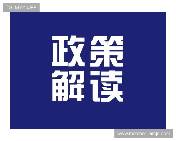 K8金沙电子的最新技术升级与未来发展趋势全面解读