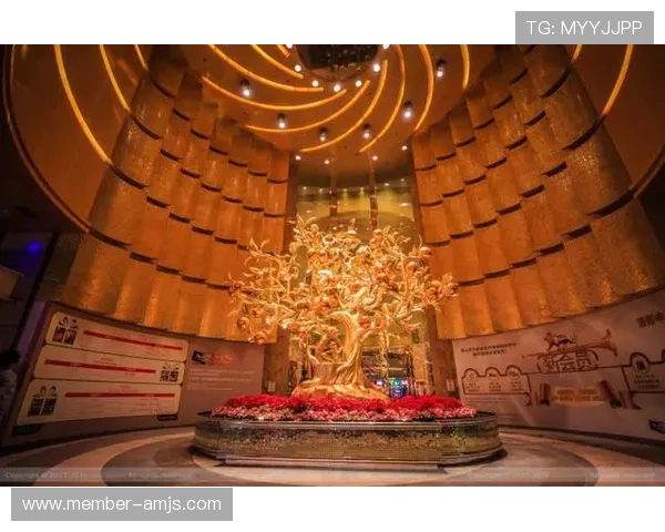 如何在美高梅赌场中合理规划投注策略提升赢率与游戏体验