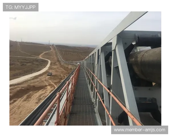 如何利用JS金沙线的特殊机制实现连续获胜的实用技巧