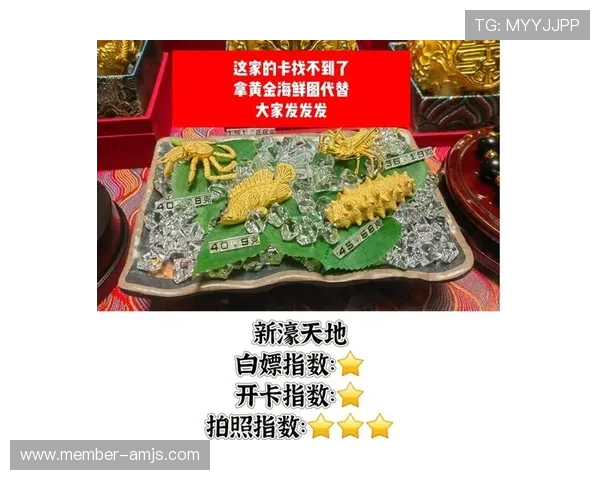 澳门新濠天地官网最新优惠福利及VIP特权介绍助你享受尊贵娱乐体验