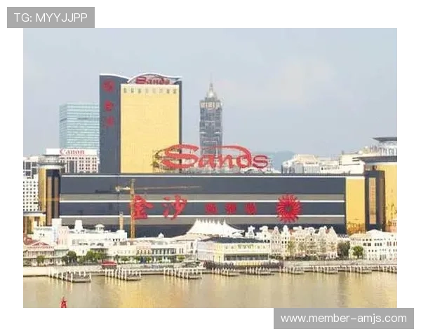 金沙澳门平台安全可靠，保障玩家资金与信息安全的最佳选择